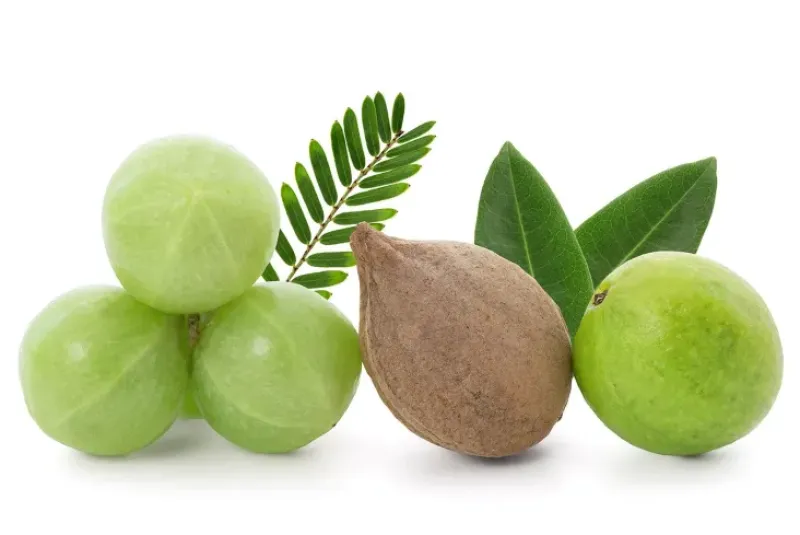 Naturaplaza Triphala Poeder Biologisch New
