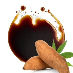 Naturaplaza Yacon Siroop Biologisch Best